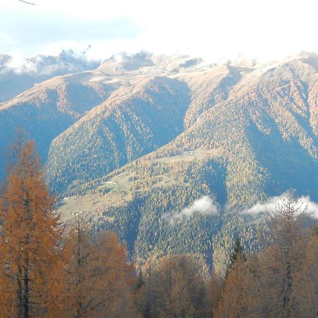 Villetta Val Di Sole 코메차두라 외부 사진