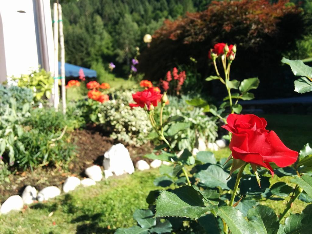 Villetta Val Di Sole 코메차두라 외부 사진