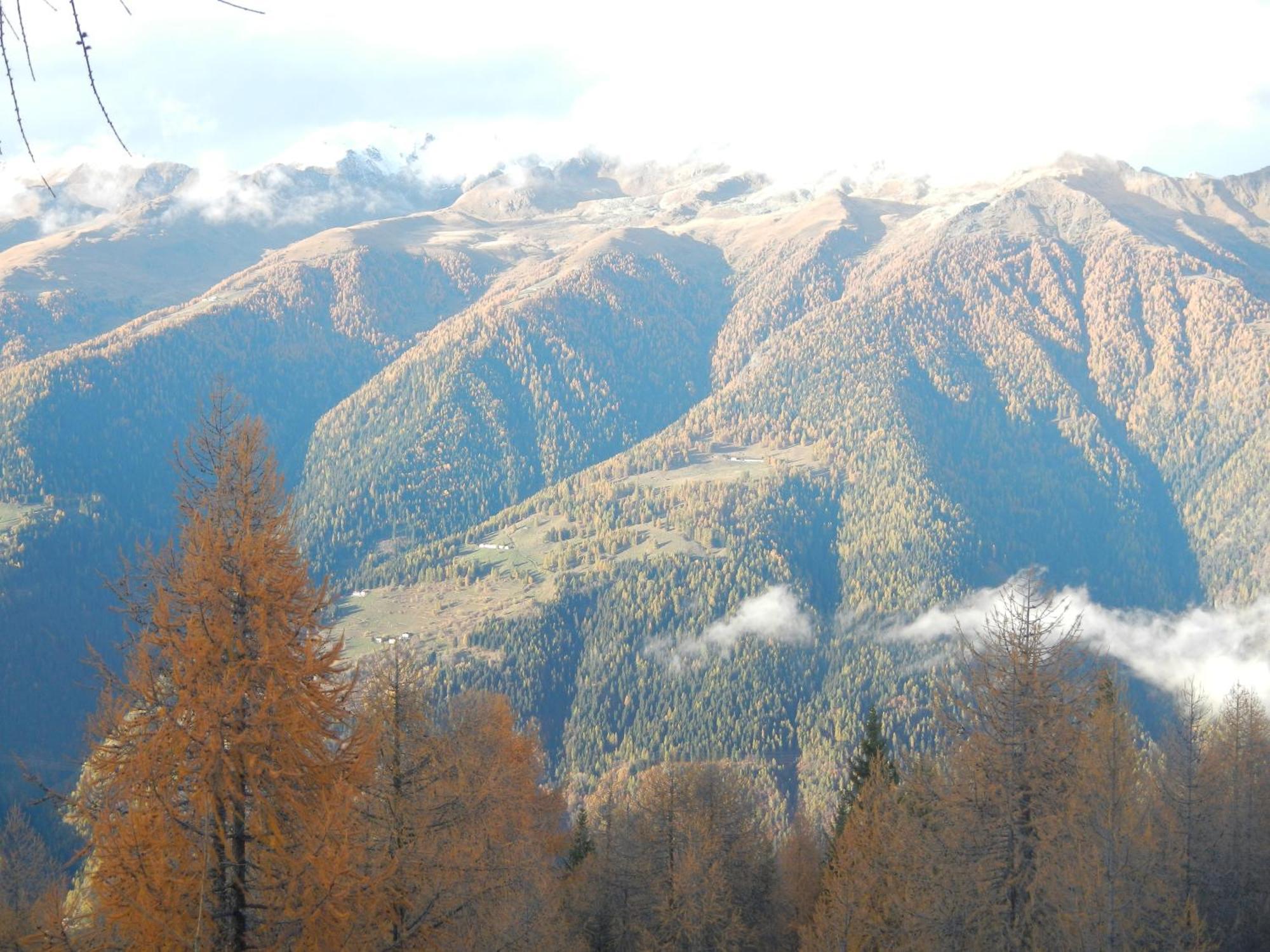 Villetta Val Di Sole 코메차두라 외부 사진
